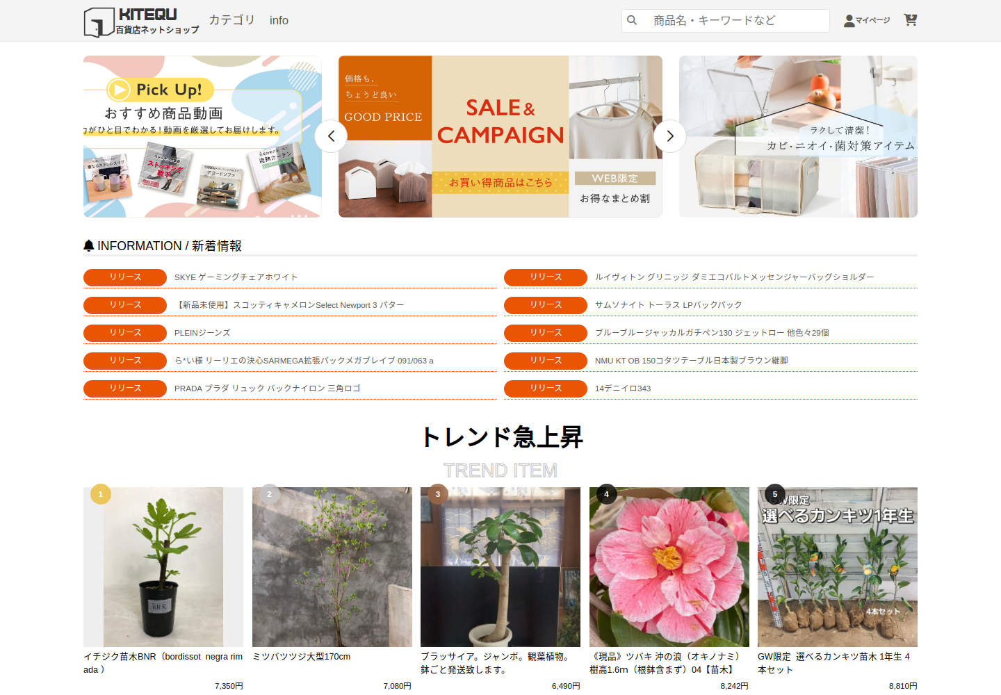 kitequote.poorasst.click の確認時スクリーンショット
