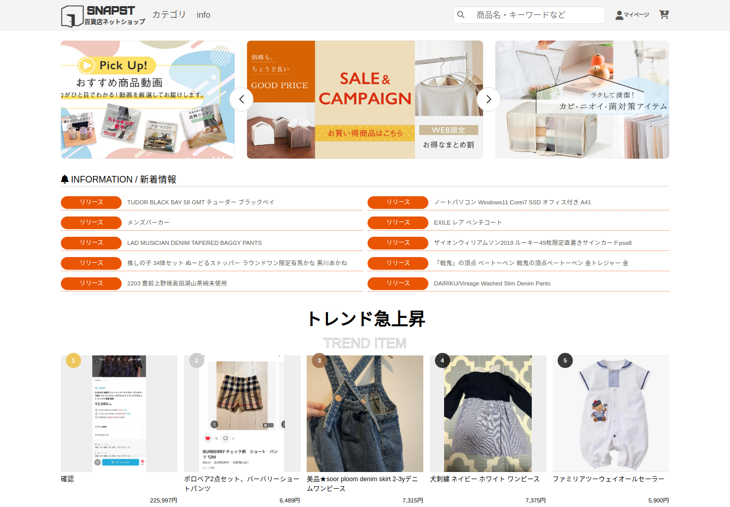 snapstore.sillter.shop の確認時スクリーンショット