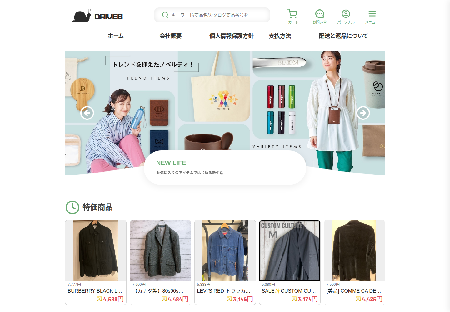 drivesave.admpruta.shop の確認時スクリーンショット