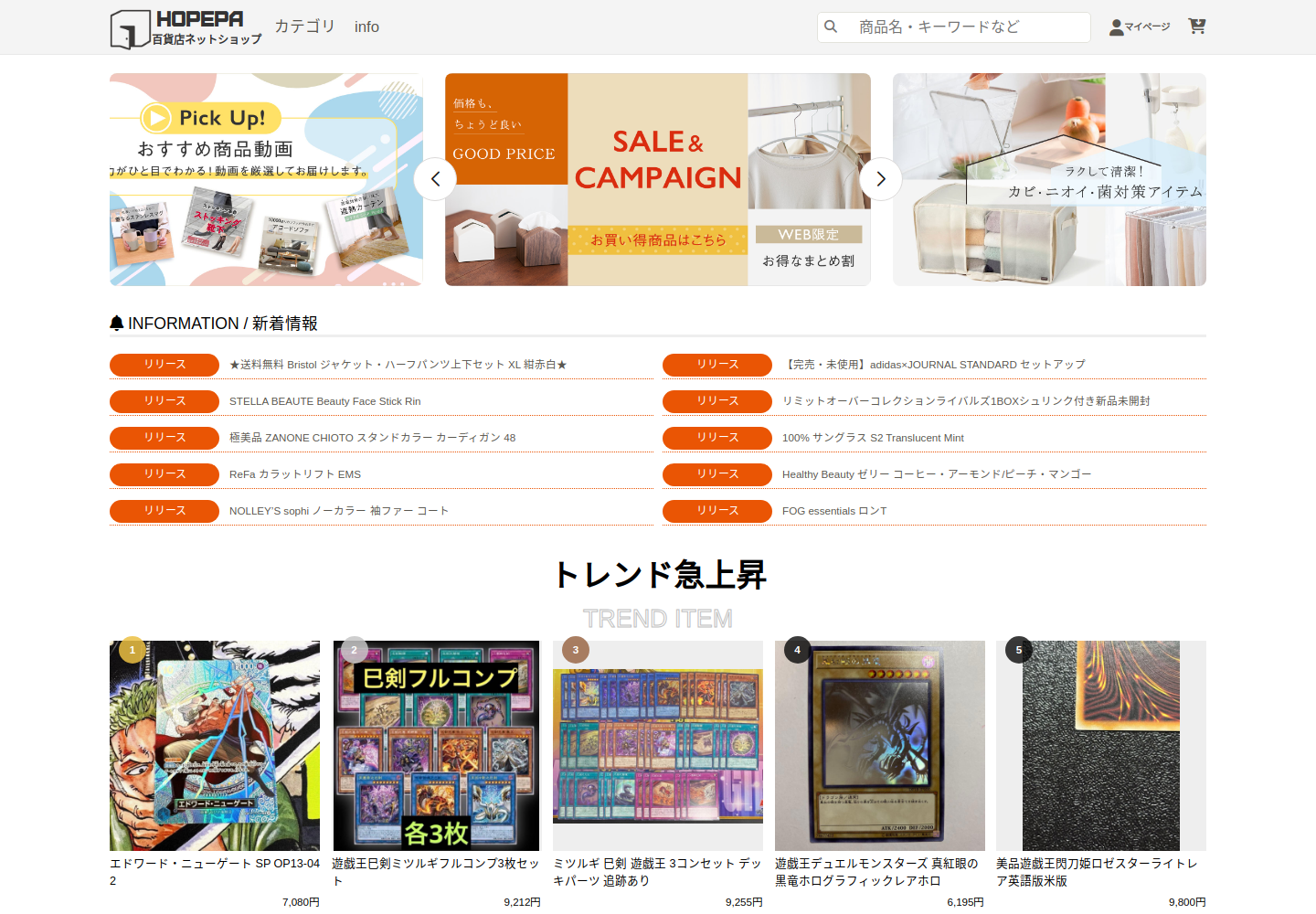 hopepay.publang.click の確認時スクリーンショット