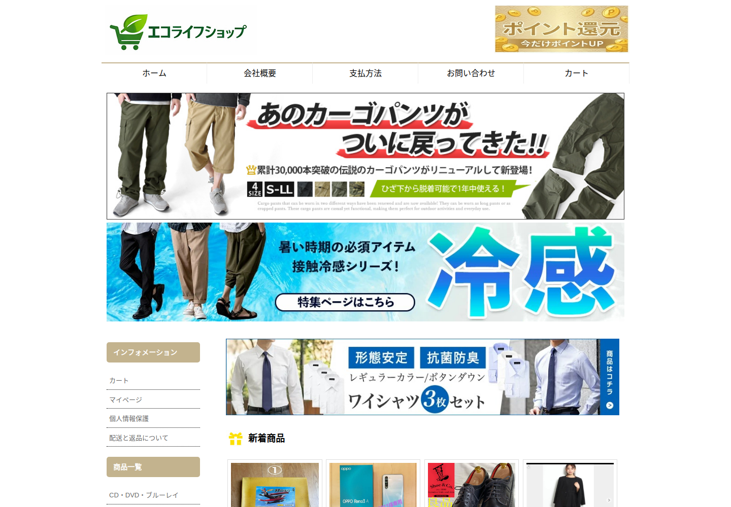 saoitt.genviro.biz の確認時スクリーンショット