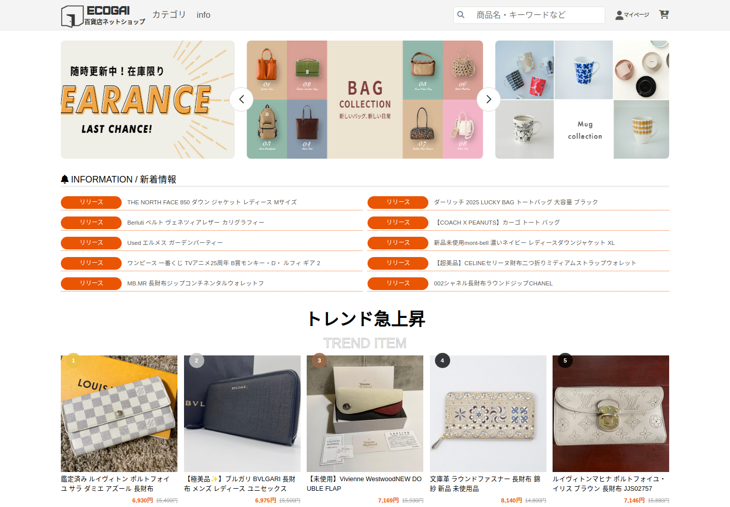 ecogain.rempress.cfd の確認時スクリーンショット