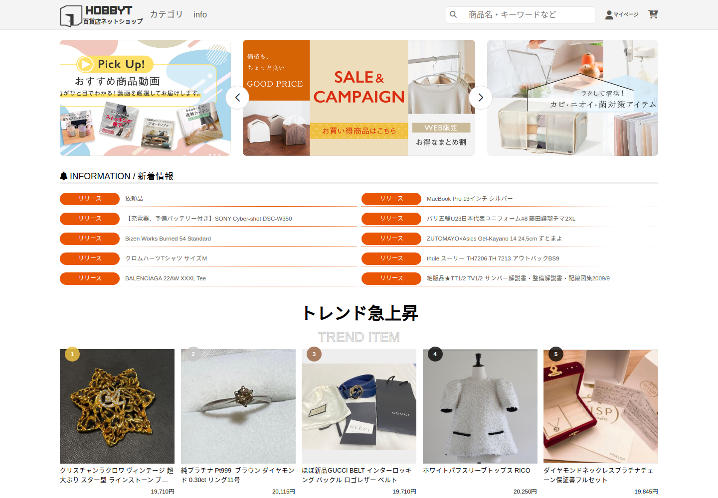 hobbytier.zizitpdl.bond の確認時スクリーンショット