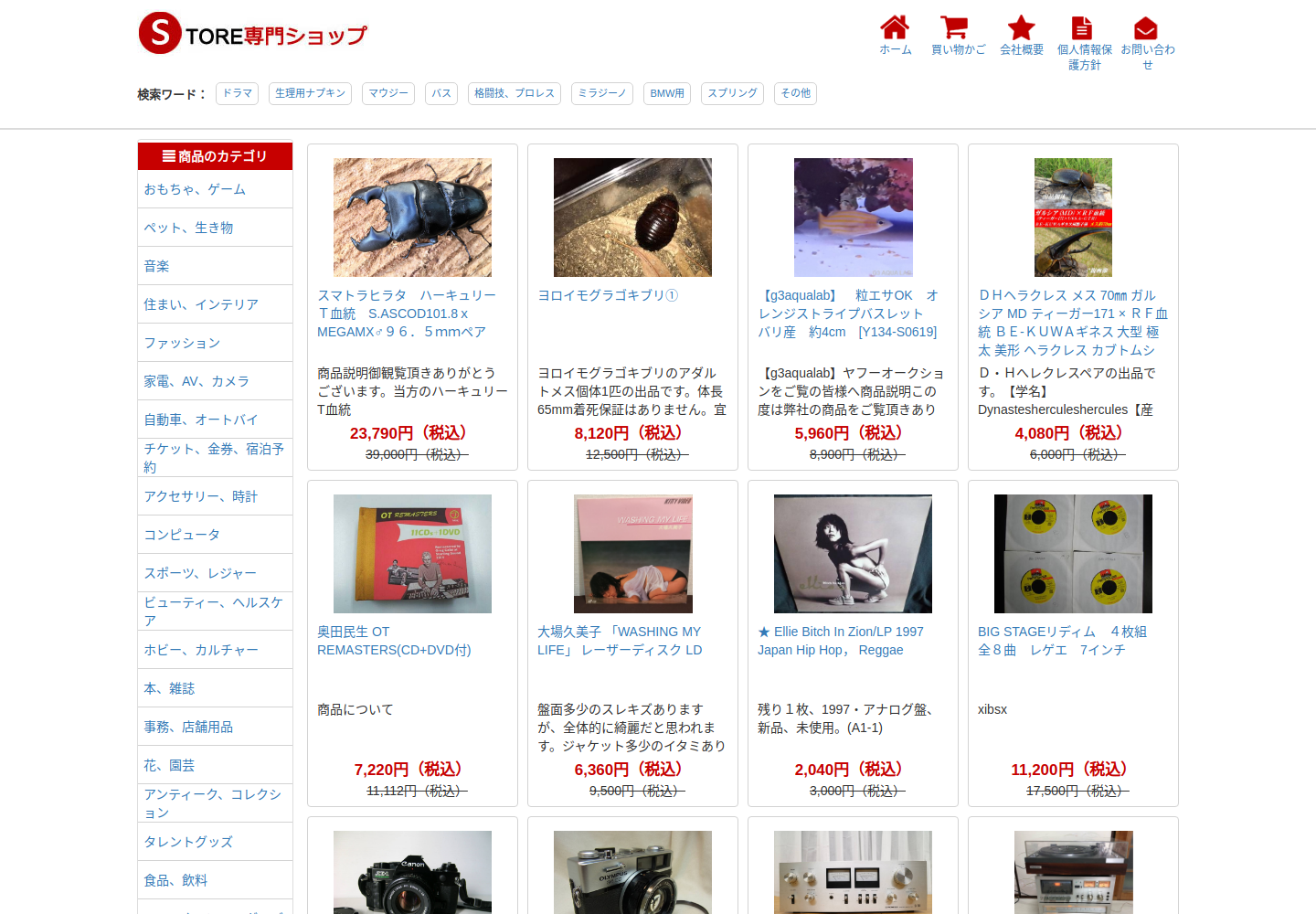 stead.viry.boats の確認時スクリーンショット